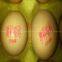 egg code printing machine