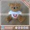 Sublimation Cuddle Bears with a poly T-shirt for printing