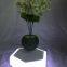led light magnetic floating levitating bottom air plant tree potted