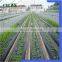 Quick delivery pla biodegradable material with good quality