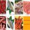 32 42 52 Commercial Electrical Big Chicken Bone Grinder Machine Fish Meat Bone Pork Beef Meat Grinder with Without Motor