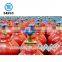 2018 competitive price medical oxygen cylinder sizes