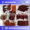 Multifunctional Best Selling biscuit shape corn extruder,snack puffing machine, flour extruder for spicy
