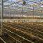 Commercial agricultural glass greenhouse for flower/vegetable
