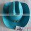 the straw &paper hat for the party