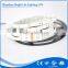 Decorative colorful 5050 IP65 24V 30led Yellow mini led strip light