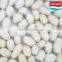 blanched peanut 41/51 51/61