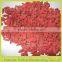 hot selling organic dried goji supplier