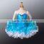 CP029 2014 New kids professional ballet tutu dress girls performance ballet tutus child classical ballet tutus ballet costumes