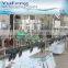 Linear structure small capacity carbonated filling bottling machine