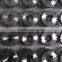 Steel Spur Gear
