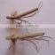 Daddy Long Legs Foam Dry trout flies