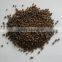 High efficient diammonium phosphate (DAP 18-46-0) granular                        
                                                Quality Choice
