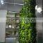 plant wall, vertical garden green wall plastic plants walls indoor and outddor use Quality Choice