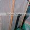 White travertine tile and slab