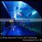 Acrylic Tunnel in Public Aquariums with Various Radian