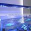 Programmable timer 180w LED aquarium lamp fish tank marine coral reef grow light
