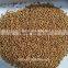 red sorghum for animal feed