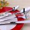 Hot selling stainless steel flatware