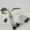 New Arrival Small Handmade White Marble Bulk Indoor Flower Pots for Livingroom