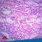 Low Price Individual slides Forensics Educational Human Glass Pathology Tissue Prepared Slides