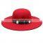 fascinating cheap wide brim hat/New Fashion hat