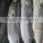 Frozen grey mullet gutted and scaled