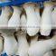 Fresh King Oyster Mushroom