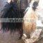 yak tail with skin, natural white/black color