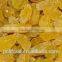 gold raisin with best price and sweet