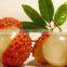 Nutrition Sweet Canned Litchi fruit in Syrup