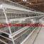 TAIYU Layout Design for Chicken Coop