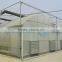 Plastic Film Greenhouse for agriculture