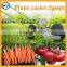 Home use mini seeder for carrot