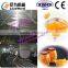 professional and factory price fish canned production line