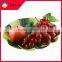 Household Decoration Foldable Magical Fruit Basker And Tray