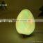 7colors Changing With Transformer Led Plastic Easter Eggs