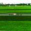 Factory dritect to sell the artificial turf for soccer and gold fileld
