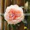 high quality silk cloth hand make decorative peony flower top sale flowers Foshan Guangdong