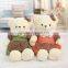 Yangzhou Plush Toy Factory Supply Elegant Teddy Bear Toy With Dress