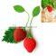 The silicone strawberry tea package,Cute Strawberry Design Silicone Tea Infuser Strainer for Loose Leaf Tea