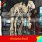 High Simulation Dinosaur Head Fossil Toys
