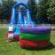 Commercial Inflatable Water Slides Kids Bouncer