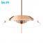 New design modern metal chandeliers pendant lights