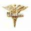Volunteer Caduceus Wings Lapel Pin Medical Hospital Recognition Volunteers New