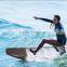 2016 Brand New Amazing Electric Surfboard Motorized Surfboard Let You Glide On Water