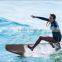 Factory Price customized fashion jet power electric surfboard/surfing board/Motorized Surfboard