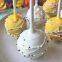 bamboo skewers for cake pops