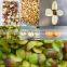 Professional manufacturer of Quinces Core Removing Machine