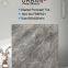 600X600mm Vitrified Ceramic Foshan Glossy Glazed Polished Porcelain Floor Wall Tile